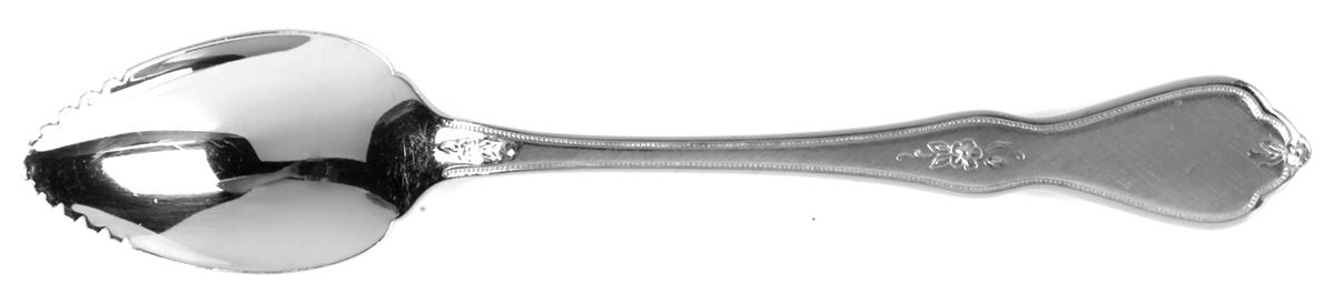 Morning Blossom (Stainless) Fruit/Orange Spoon by Oneida Silver-1