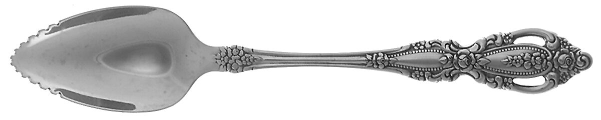 Monte Carlo (Stainless) Fruit/Orange Spoon by Oneida Silver-1
