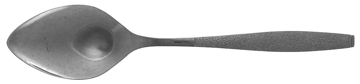 Montina-Indio(Stainless) Tablespoon (Serving Spoon) by Oneida Silver-1
