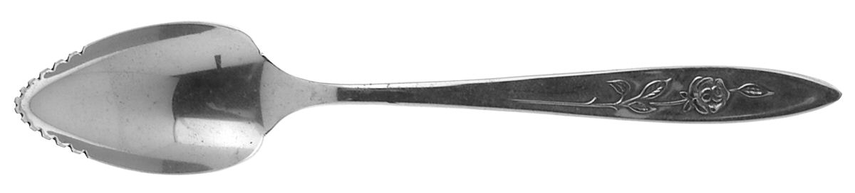 My Rose (Stainless) Fruit/Orange Spoon by Oneida Silver-1