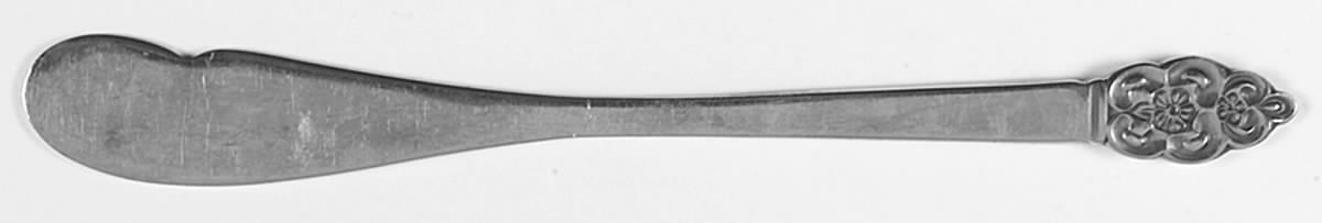 Nordic Crown (Deluxe Stainless) Flat Handle Butter Spreader by Oneida Silver-1