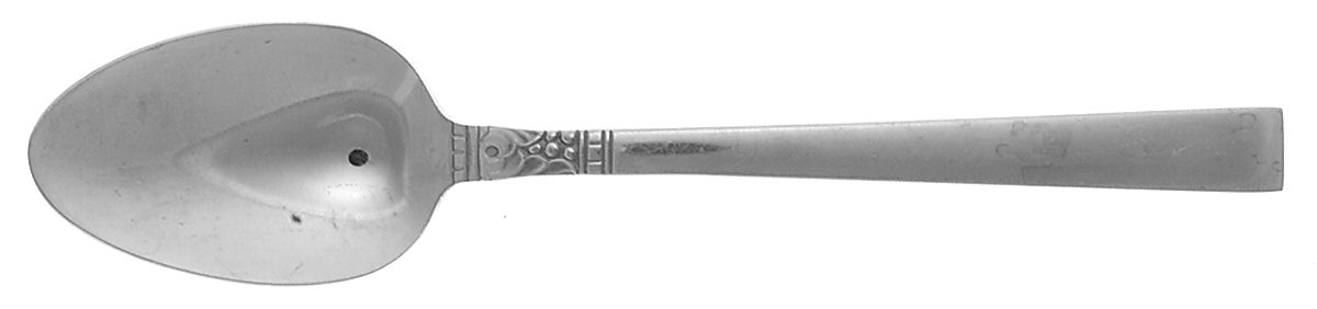Northland (Stainless, Glssyfinish) Teaspoon by Oneida Silver-1