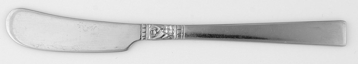 Northland (Stainless, Glssyfinish) Flat Handle Butter Spreader by Oneida Silver-1