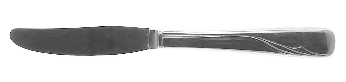 Oceanic (Stainless) Hollow Handle Youth Knife by Oneida Silver-1