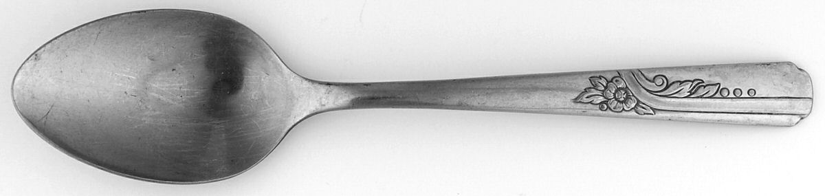 OHS101 (STAINLESS) Teaspoon by Oneida Silver-1