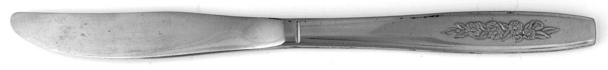 OHS108 (STAINLESS) Modern Solid Knife by Oneida Silver-1