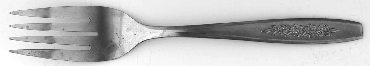 OHS108 (STAINLESS) Individual Salad Fork by Oneida Silver-1
