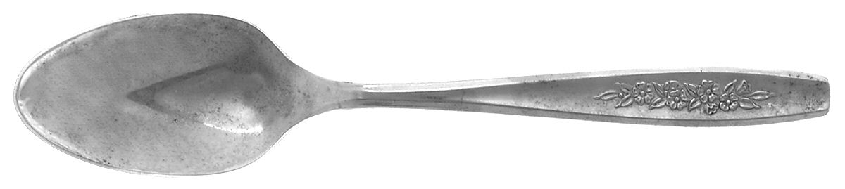 OHS108 (STAINLESS) Teaspoon by Oneida Silver-1