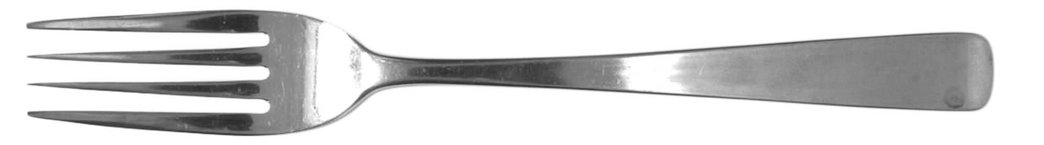 OHS110 (STAINLESS) Fork by Oneida Silver-1