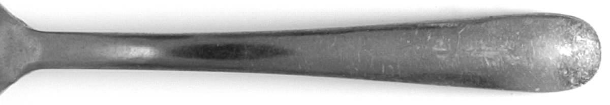 OHS136 (STAINLESS) Teaspoon by Oneida Silver-1
