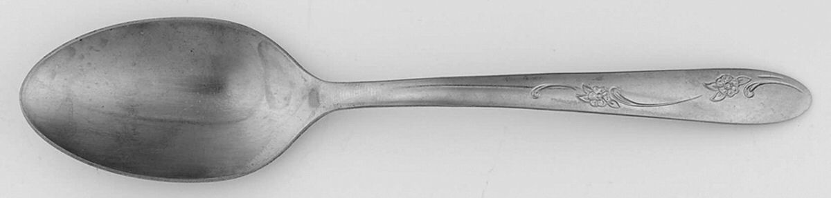 OHS49 (STAINLESS) Place/Oval Soup Spoon by Oneida Silver-1