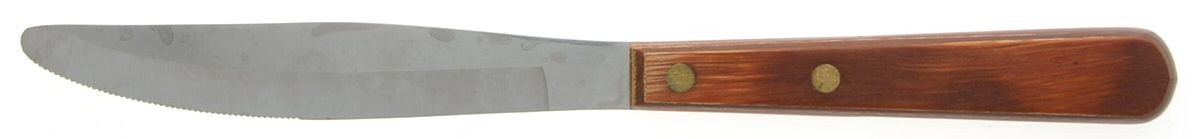 OHS60 (STAINLESS) Modern Hollow Knife by Oneida Silver-1