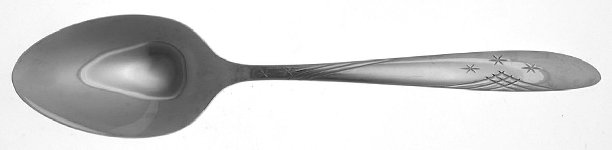 OHS9 (Stainless) Tablespoon (Serving Spoon) by Oneida Silver-1