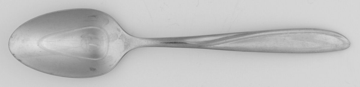 OHS91 (STAINLESS) Teaspoon by Oneida Silver-1