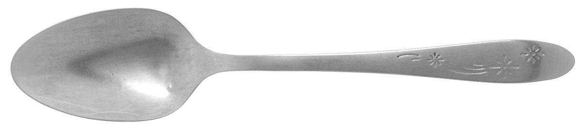 Old Winter (Stainless, Wm Rog) Teaspoon by Oneida Silver-1