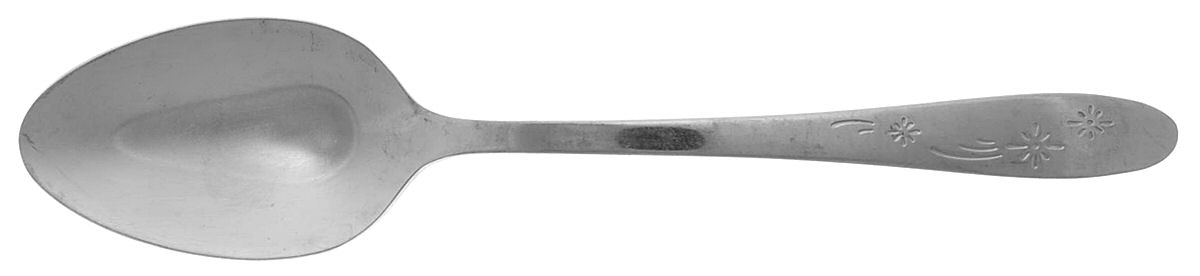 Old Winter (Stainless, Wm Rog) Place/Oval Soup Spoon by Oneida Silver-1
