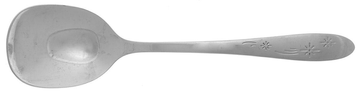 Old Winter (Stainless, Wm Rog) Sugar Spoon by Oneida Silver-1