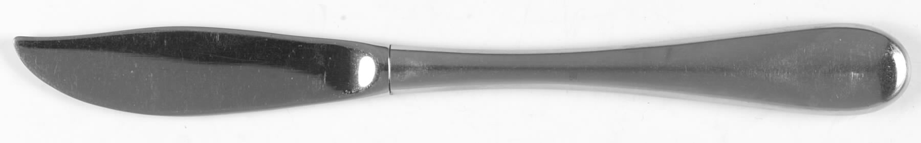 Omni (Stainless) Hollow Handle Master Butter Knife by Oneida Silver-1