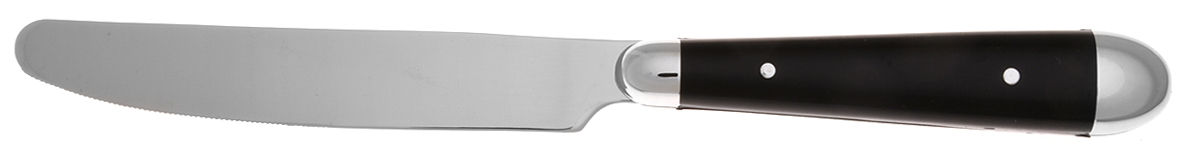 Palette-Black (Stainless) New French Hollow Knife by Oneida Silver-1