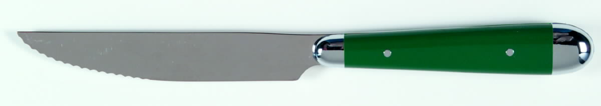 Palette-Hunter Green (Stainless) Individual Steak Knife Hollow Handle by Oneida Silver-1