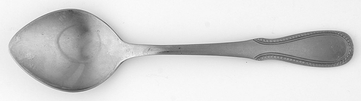 Palisade (Stainless) Sugar Spoon by Oneida Silver-1