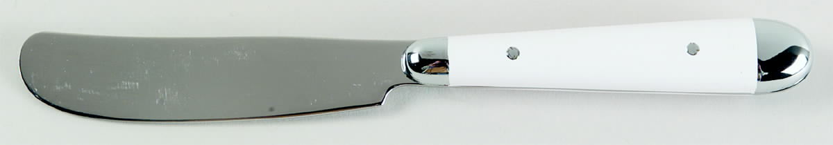 Palette-White (Stainless) Butter Spreader/Master, Hollow Handle by Oneida Silver-1