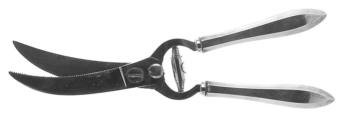 Patrician (Silverplate, 1914) Poultry Shears with Stainless Blades by Oneida Silver-1