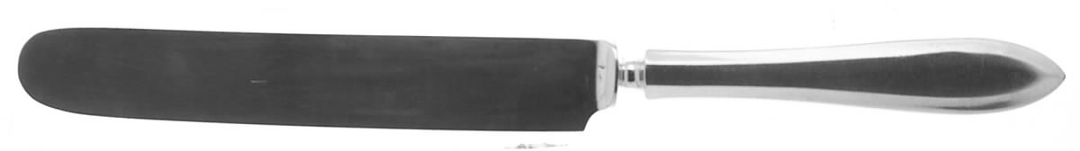 Patrician (Silverplate, 1914) Blunt Solid Knife with Bolster by Oneida Silver-1