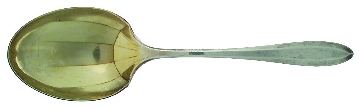Patrician (Silverplate, 1914) Solid Shell Casserole Spoon by Oneida Silver-1