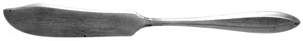 Patrician (Silverplate, 1914) Flat Handle Butter Spreader by Oneida Silver-1