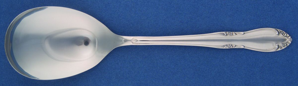 Plantation (Stainless-Custom) Solid Smooth Casserole Spoon by Oneida Silver-1