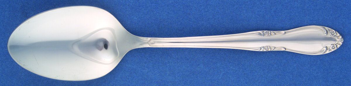 Plantation (Stainless-Custom) Tablespoon (Serving Spoon) by Oneida Silver-1