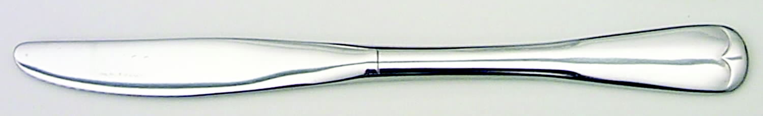 Plymouth Rock (Stainless) Modern Solid Knife by Oneida Silver-1