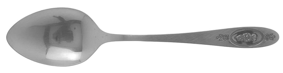 Polonaise (Stainless) Tablespoon (Serving Spoon) by Oneida Silver-1