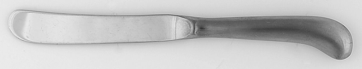 Post Road (Stainless) Butter Spreader Hollow Hdl-Paddle/Stainless Blade by Oneida Silver-1