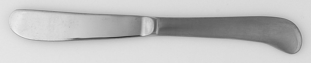 Post Road (Stainless) Flat Handle Butter Spreader by Oneida Silver-1
