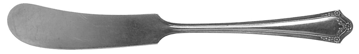 Primrose (Silverplate, 1915) Flat Handle Butter Spreader by Oneida Silver-1