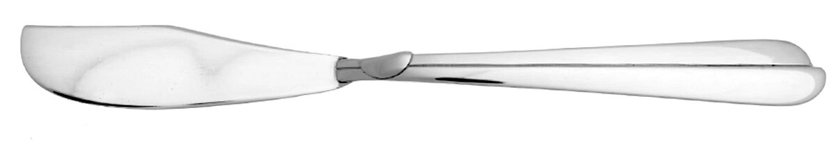 Radius (Stainless) Flat Handle Master Butter Knife by Oneida Silver-1