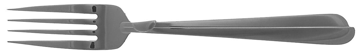 Radius (Stainless) Fork by Oneida Silver-1