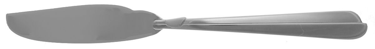 Radius (Stainless) Individual Solid Fish Knife by Oneida Silver-1