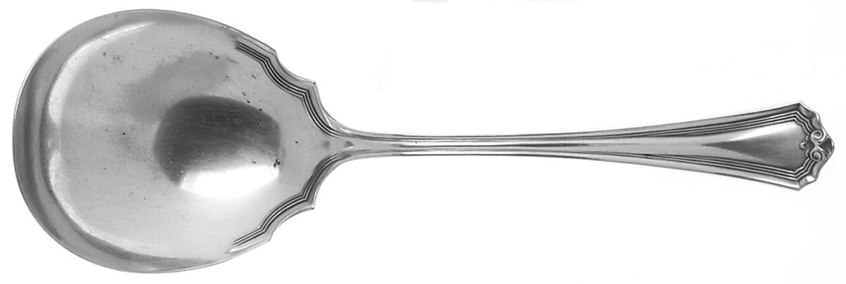 Raleigh (Silverplate) Solid Smooth Casserole Spoon by Oneida Silver-1