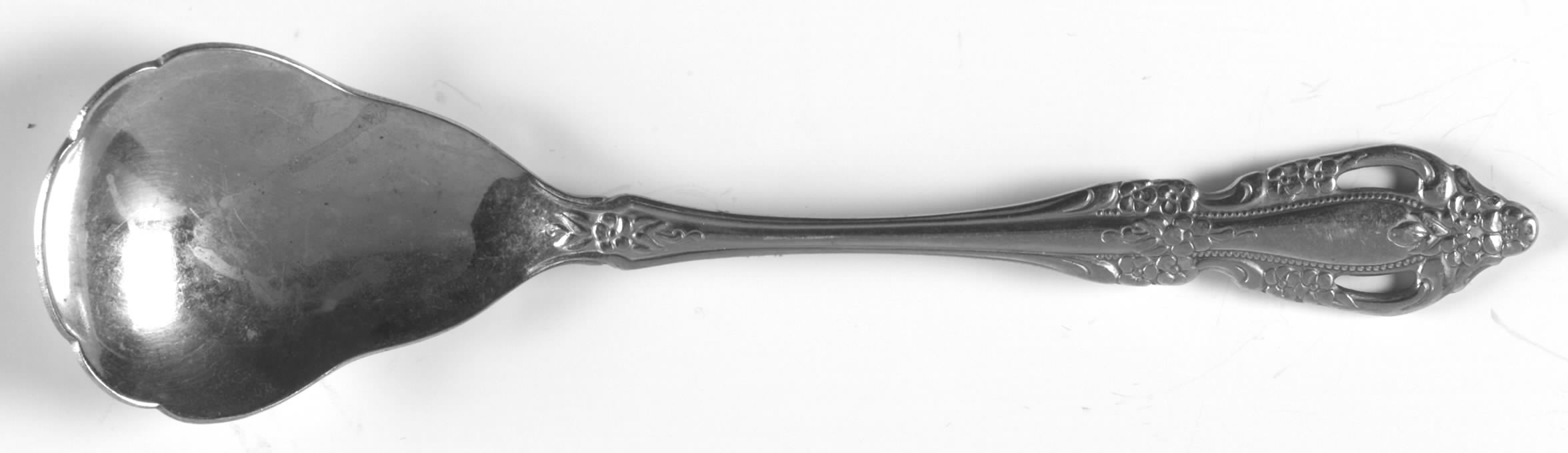 Raphael (Stainless) Sugar Shell Spoon by Oneida Silver-1
