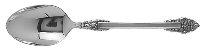 Rembrandt (Stainless, Glossy) Teaspoon by Oneida Silver-1