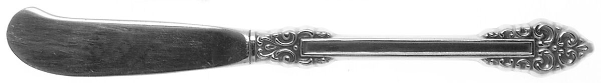 Rembrandt (Stainless, Glossy) Butter Spreader Hollow Hdl-Paddle/Stainless Blade by Oneida Silver-1