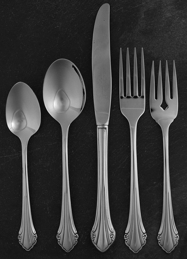 Repose (Stainless) 5 Piece Place Setting by Oneida Silver-1
