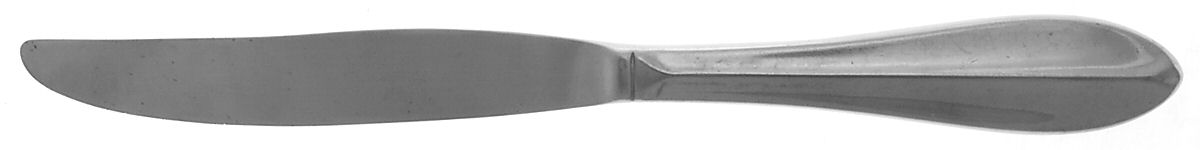 Rhodes (Stainless, Northland Line) Modern Hollow Knife by Oneida Silver-1