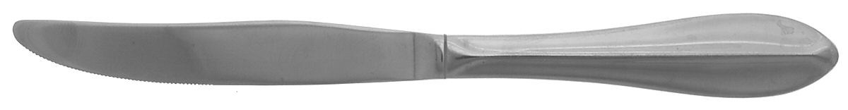 Rhodes (Stainless, Northland Line) Modern Solid Knife by Oneida Silver-1