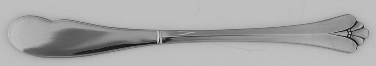 Royal Flute (Stainless) Flat Handle Butter Spreader by Oneida Silver-1