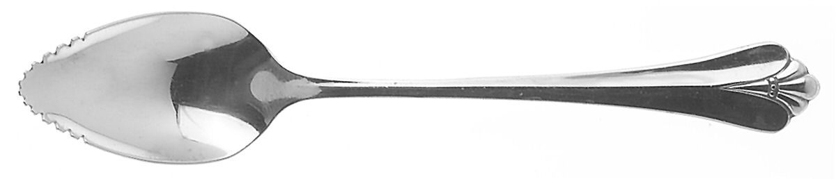 Royal Flute (Stainless) Fruit/Orange Spoon by Oneida Silver-1
