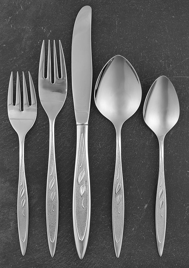 Royal Harvest (Stainless) 5 Piece Place Setting by Oneida Silver-1